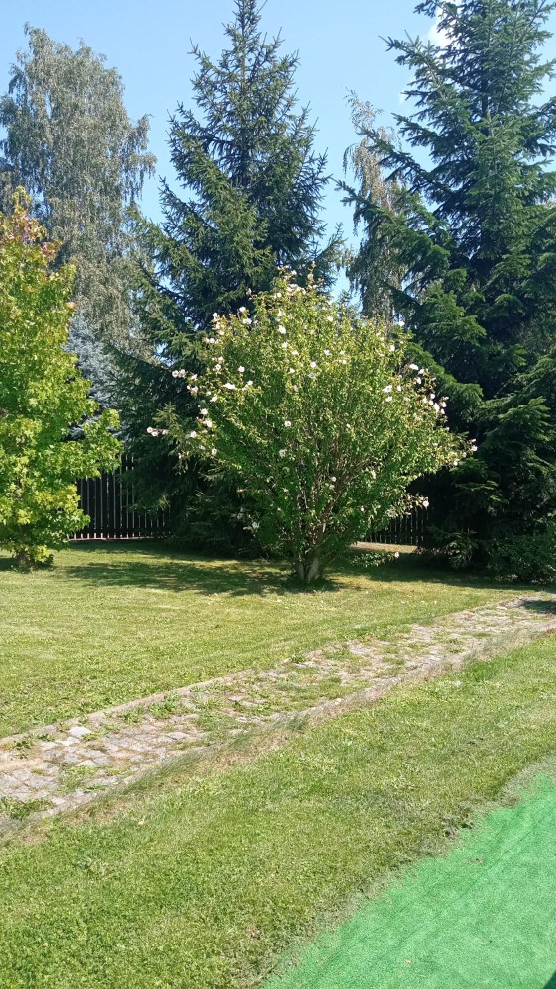 Chata Lazne Evzenie Klasterec Nad Ohri Luaran gambar